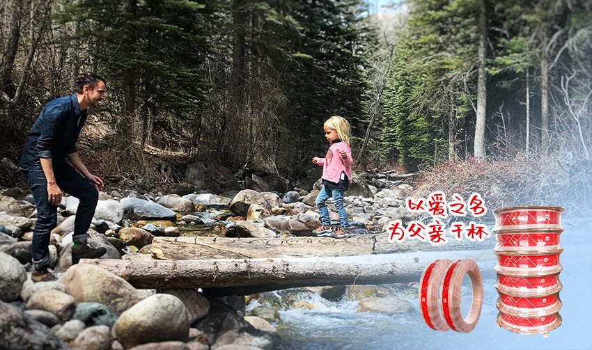 Ϲ(й)޹˾
